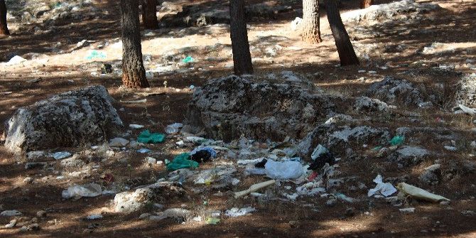 Ormanlık Alan Çöplüğe Döndü