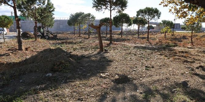 Ahmet Çelik Parkı İçin Çalışmalar Başladı