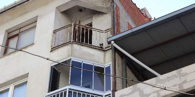 Evde 10 Gün Boyunca Mahsur Kalan Kedi Kurtarıldı