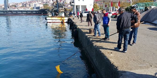 Karadeniz’de Deniz Suyunun Aniden Soğuması Balıkları Şoka Soktu
