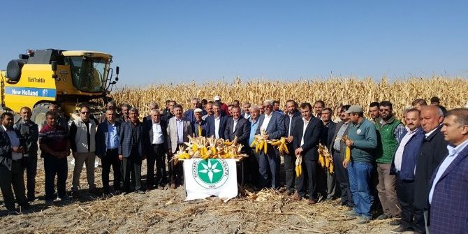 Danelik Mısırın Yurt İçinden Teminine Kayseri Pancar Kooperatifi Desteği