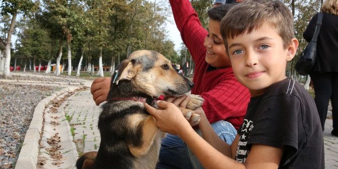 Sokak Hayvanlarını Beslediler