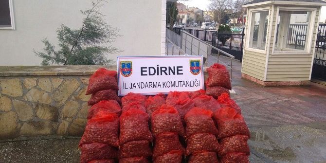 Edirne 1 Ton 750 Kilogram Kaçak Midye Ele Geçirildi