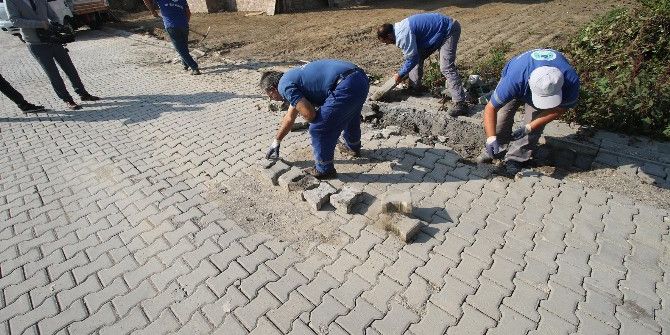 Akyazı Belediyesi Alt Ve Üst Yapı Çalışmalarına Devam Ediyor
