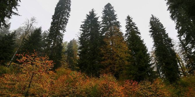 Örümcek Ormanları’nda Sonbahar Renkleri