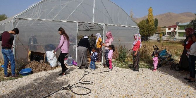Varto’da Seracılık