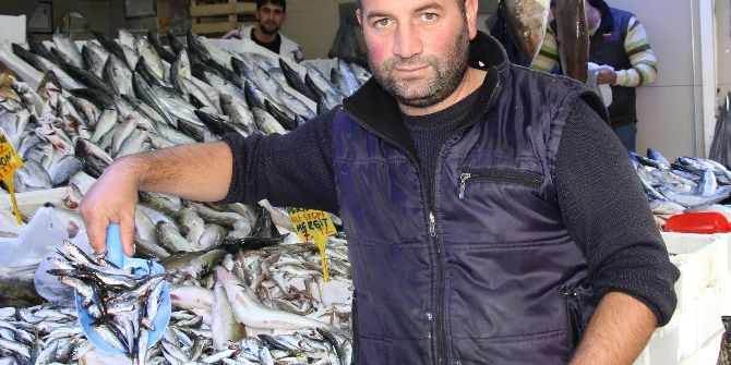 Hamsi İçin Meraklı Bekleyiş Sürüyor