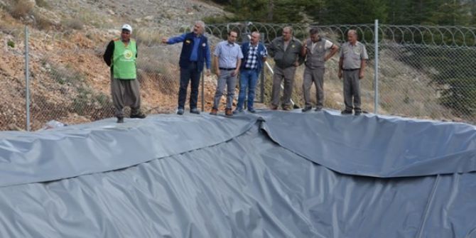 Ormanlar Gelir Getirici Türlerle Dolduruluyor