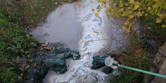 Doğa Yürüyüşü Yapan Başkandan Çevre Katliamına Suçüstü