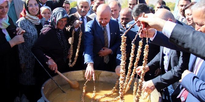 Erkilet ‘Kedi Bacağı’ Tanıtıldı