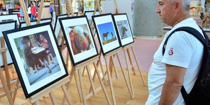 Hayvan Hakları Sergisi Şanlıurfa Piazza’da