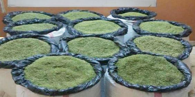 Bingöl’de 2 Milyon Tl’lik Esrar Ele Geçirildi