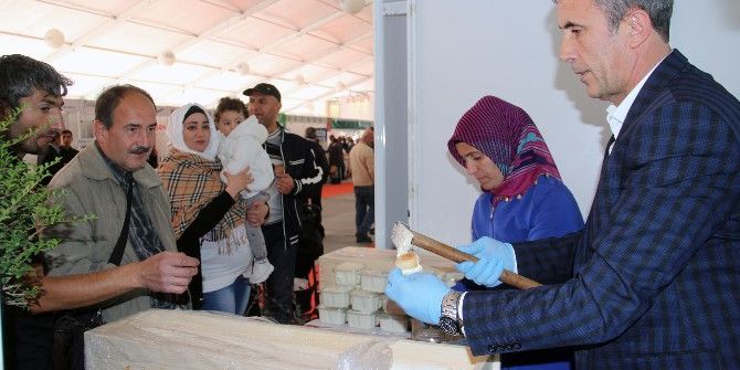 Giresun Günleri Renkli Başladı