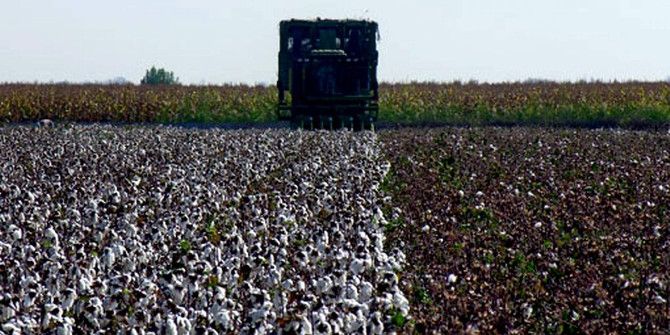 Pamukta Makineli Hasadın Neden Olduğu Kayıplar En Aza İndirilecek