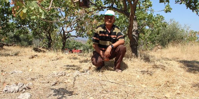 Arabeskli Mücadeleye Güneşli Çözüm