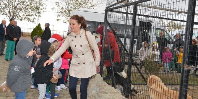 Geçici Bakımevi Minik Misafirlerini Ağırladı