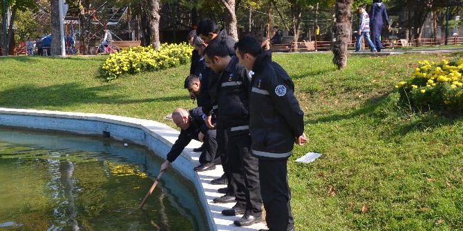 Göle Atılan 1 Dolarlık Banknotlar Polisi Alarma Geçirdi