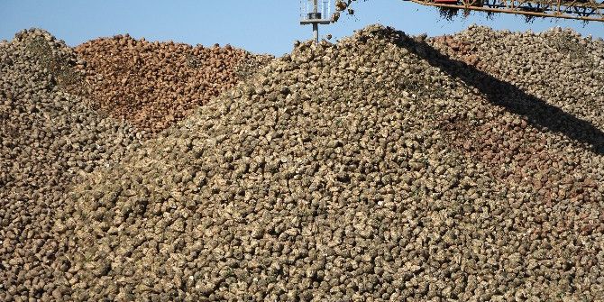 Malatya Şeker Fabrikası İlk Şekerleri Piyasaya Sürdü