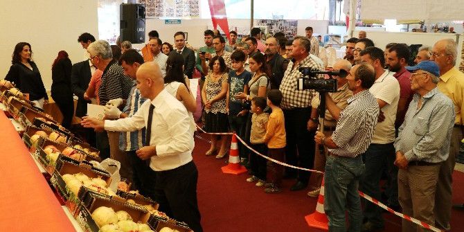 Üreticisini Güldürmeyen Nar Jüri Önüne Çıktı