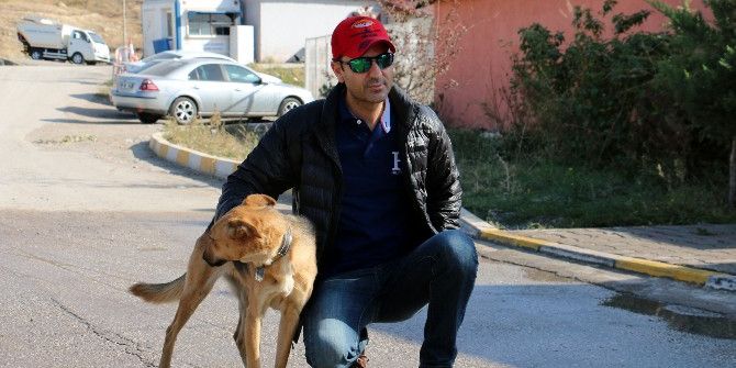 Ölüme Terk Edilen Köpek Sıcak Bir Yuvaya Kavuştu