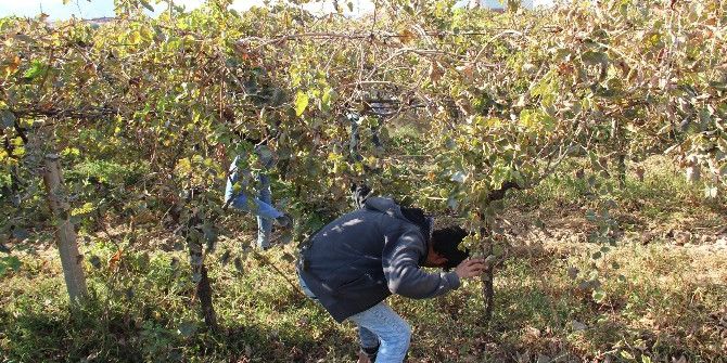 Minik Irmak Cinayetinde Aranan Çapa Bulundu İddiası