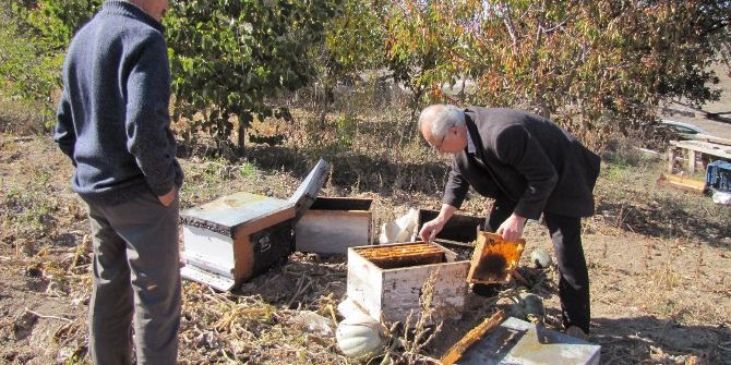 Hisarcık’ta 30 Arı Kovanı Yakıldı