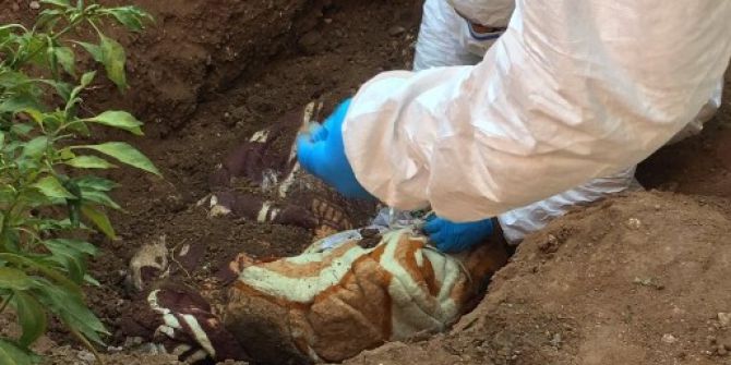 Mühimmattan Sonra 2 Erkek Cesedi Bulundu