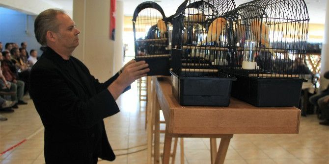 Yorkshire Kanarya Yarışmasında Katılım Rekoru Kırıldı