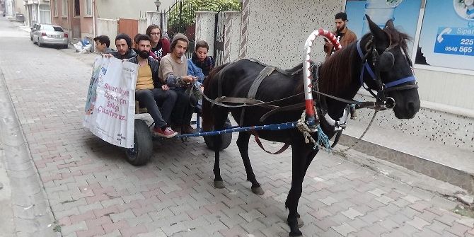 At Arabasında İstanbul’a Sanat Yolculuğu