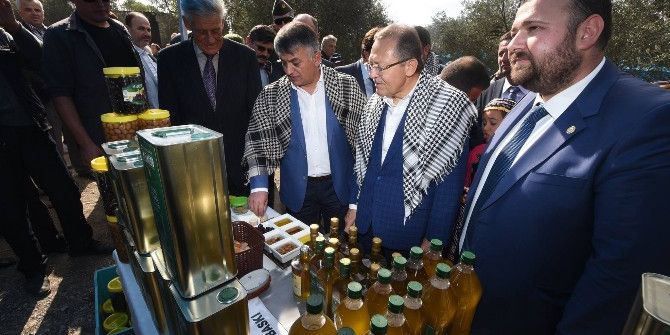 Ayvalık’ta ’Zeytin Hasat Şöleni’ Yapıldı