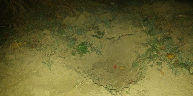 Hazine Ararken Suçüstü Yakalandılar