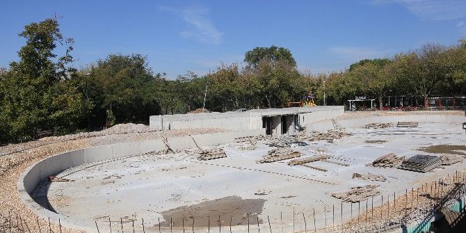 Buz Pateni Heyecanı Kültürpark’ta Yaşanacak