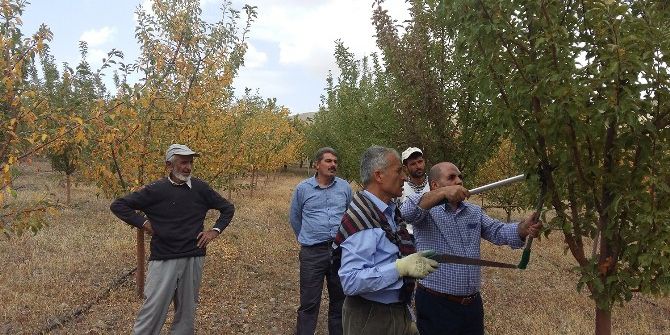 ‘2016 Yılı Güz Dönemi Malatya İli Tarımsal Yayım Ve Eğitim’ Programı Başladı