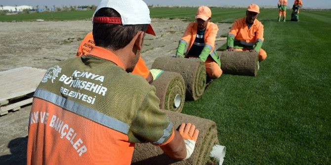 Rulo Çim Tesisi Ekonomiye Katkı Sağlıyor