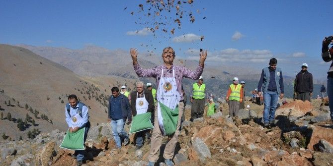 Orman Bölge Müdürlüğü, Erozyon Önlemek İçin Çalışmalara Başladı