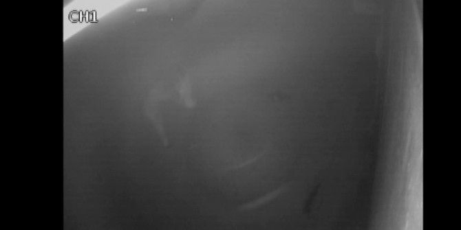 Sevgilisinin Kocasını Böyle Öldürdü