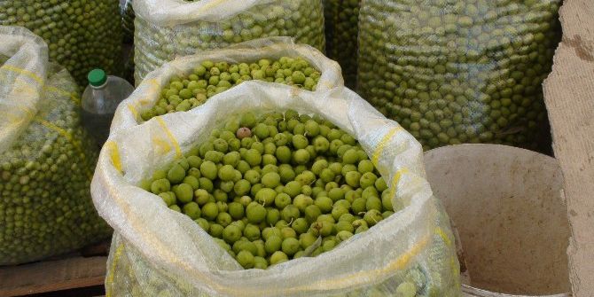 Kızıltepe’de Yeşil Zeytin Müşteri Bulamıyor