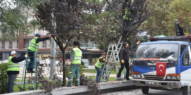 Anıtpark Ağaçları Bakıma Alındı