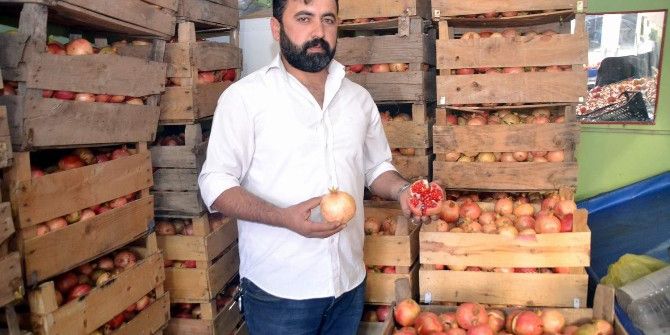 Siirt’in Meşhur Zivzik Narı Altın Yılını Yaşıyor