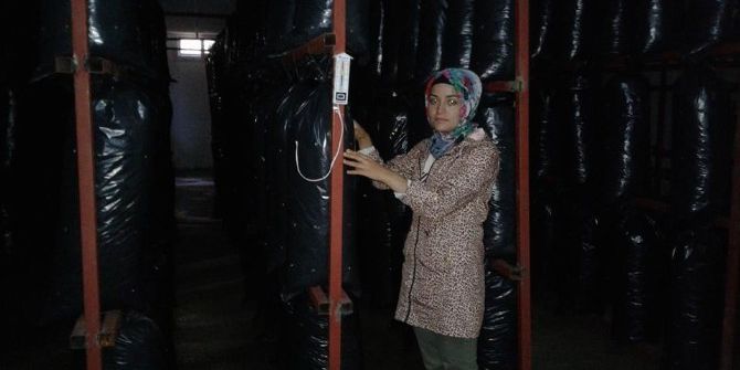 Genç Çiftçiler Mantar Yetiştirdi