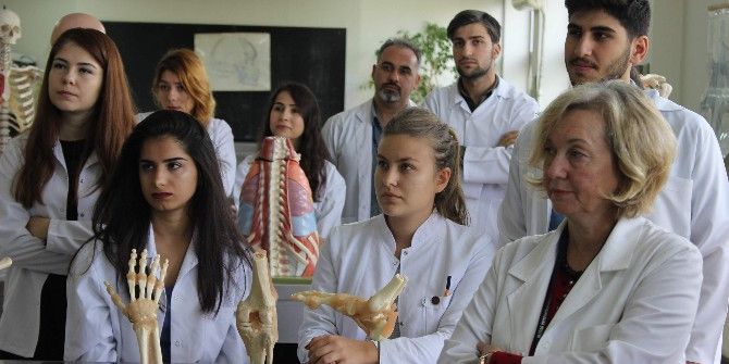 Ev Fiyatına Kadavra İthalatı