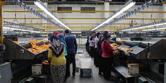 İyi Tarım Uygulamalarında Teknik Gezi Düzenlendi