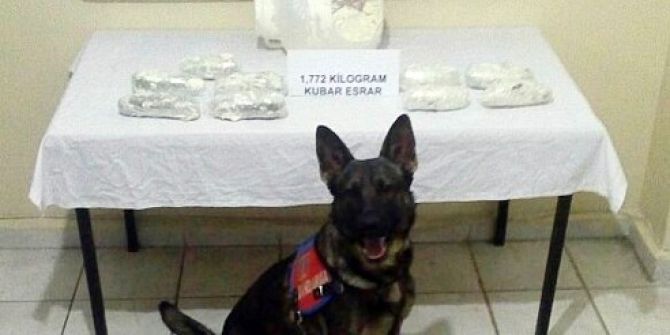 ’Peynir Kutusu’ İçerisinde Esrar Ele Geçirildi