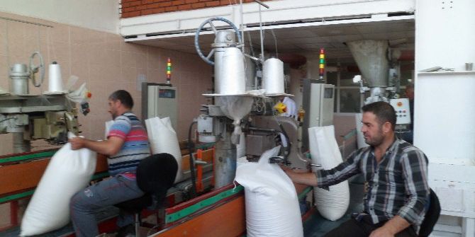 Muş Şeker Fabrikası Kapasitenin Üzerinde Çalışıyor