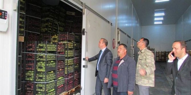 Çamardı Kaymakamı Mustafa Serin Elma Hasadında İnceleme Yaptı