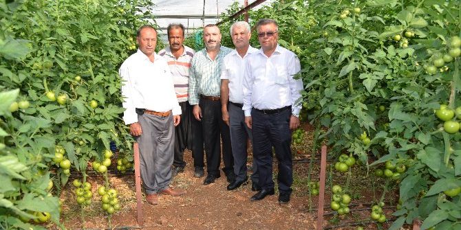 Erdemli’de Çiftçiye Sağlıklı Ve Kaliteli Ürünün Önemi Anlatıldı