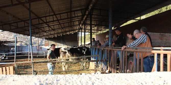 İzmir’de Çiçek Hastalığı Tehlikesi