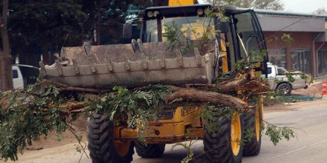 Bandırma Belediyesi’ne Ağaç Tepkisi