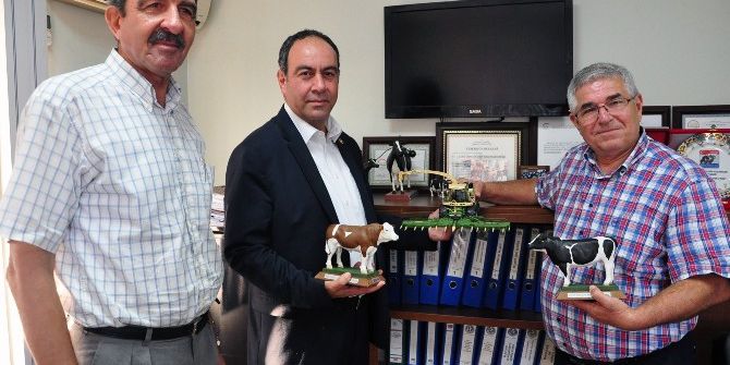 Buzağı Ölümleri Hayvancılık Sektörüne Darbe Vuruyor