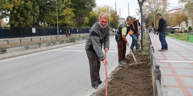 Kış Sezonuna Hercai Menekşe